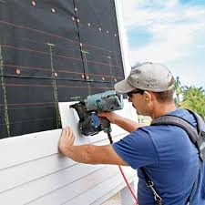 Best Siding Painting and Refinishing  in Douglas, MI